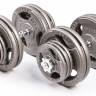 Набор гантелей металлических "Хамертон Atlas Sport", 2x29 кг