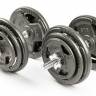 Набор гантелей с железной ручкой "HAMMERTONE", 2x19 кг